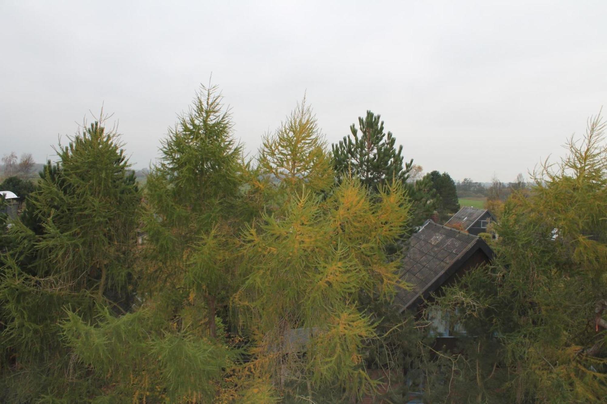 L254 An Der Ostsee